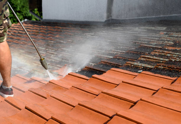 Best Deck Pressure Washing  in Kealakekua, HI