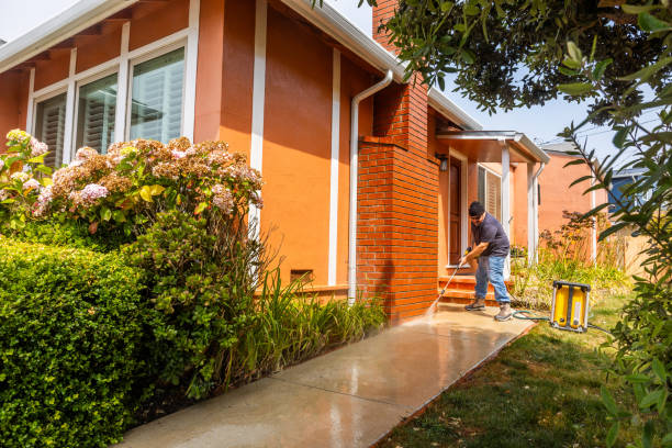 Best Concrete Pressure Washing  in Kealakekua, HI